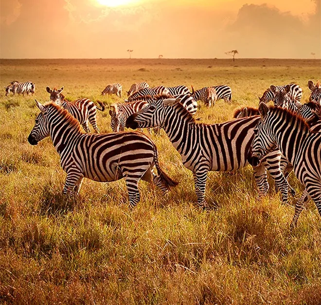 flights to uganda uganda