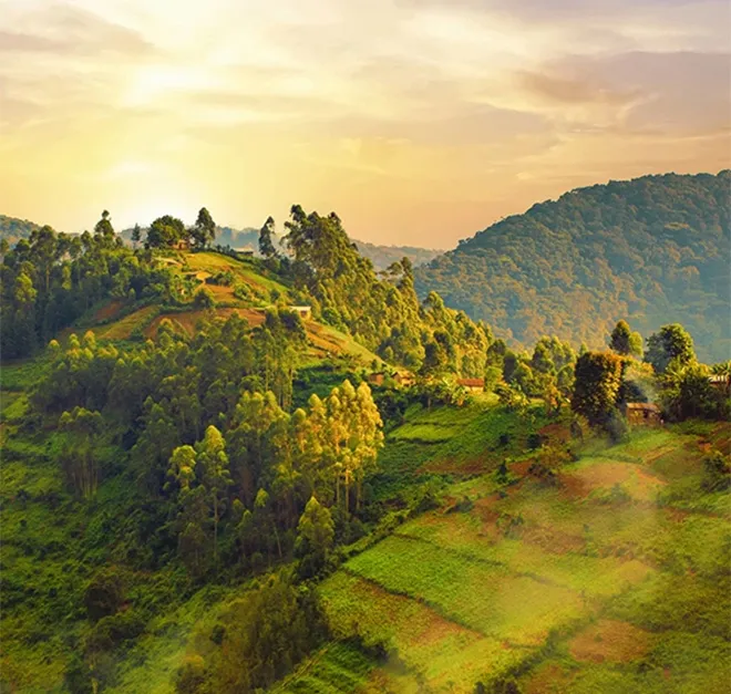 flights to Congo Congo