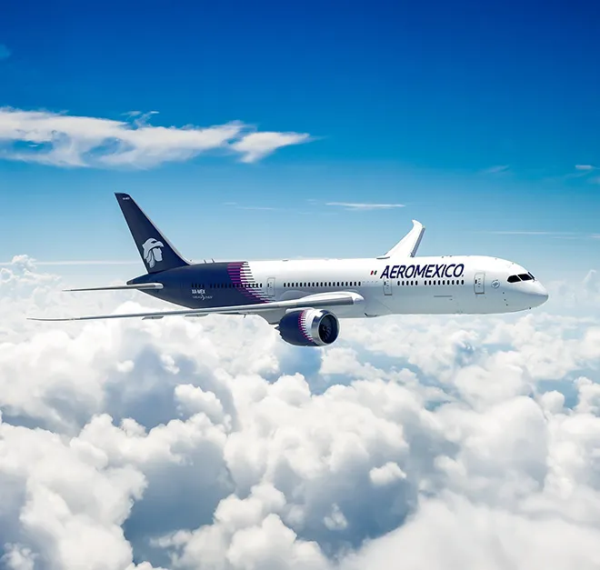 AeroMexico AeroMexico