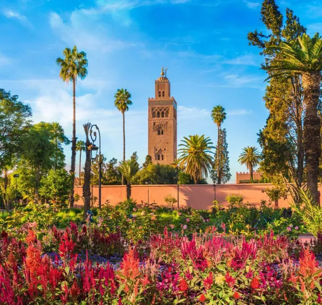 Marrakech Marrakech
