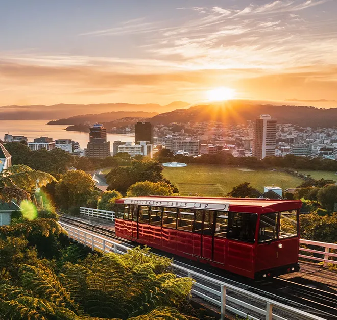 flights to Wellington Wellington